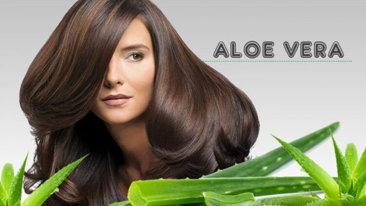 Benefits of Aloe Vera to Cope with Hair Loss