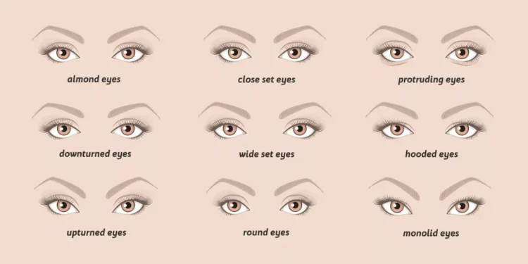 How To Enhance Your Eyes Based On Your Shape